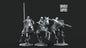 Set of 3 North Warrior Riders